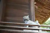 医家神社(徳島県)