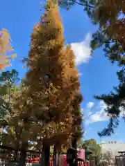 阿部野神社の自然