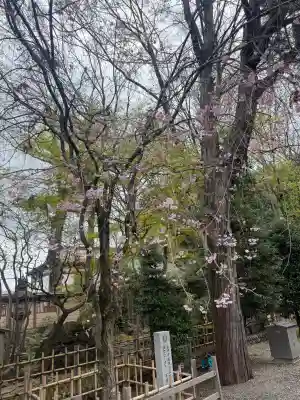 大國魂神社(東京都)
