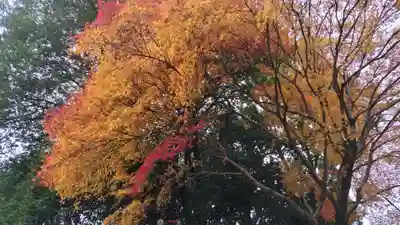 近江神宮(滋賀県)