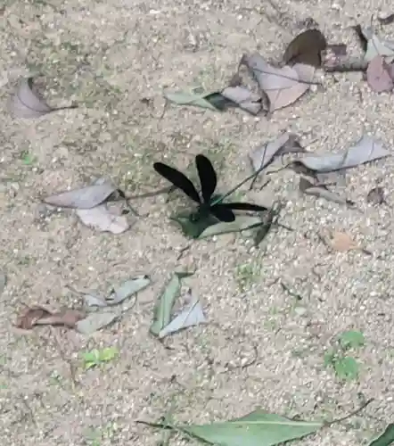 三奈良神社(愛媛県)