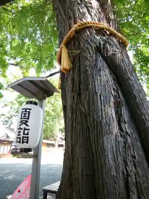 札幌諏訪神社のその他建物