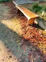 川田八幡神社の自然