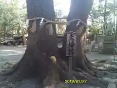 男神社の自然