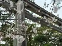寒川神社の{uncategorized: "未分類", other: "その他", undefined: "問題あり", building: "その他建物", grave: "お墓", sacred_gate: "鳥居", guardian: "狛犬", statue: "像", buddha: "仏像", history: "歴史", nature: "自然", garden: "庭園", animal: "動物", pagoda: "塔", temizu: "手水舎", mountain_gate: "山門・神門", sanctuary: "本殿・本堂", subordinate: "末社・摂社", art: "芸術", scenery: "景色", jizo: "地蔵", ema: "絵馬", goshuin: "御朱印", omikuji: "おみくじ", items: "授与品その他", amulet: "お守り", goshuincho: "御朱印帳", eats: "食事", festival: "お祭り", votive_dance: "神楽", shichigosan: "七五三参", wedding: "結婚式", experience: "体験その他", initially: "初詣", around: "周辺", anti_infection: "感染症対策"}