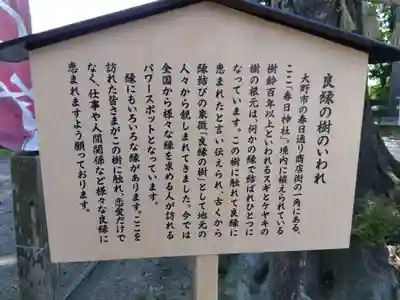 春日神社(福井県)