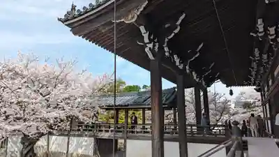 妙顯寺（妙顕寺）(京都府)