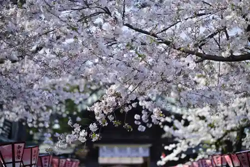 三嶋大社(静岡県)