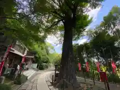 野津田薬師堂(福王寺)(東京都)