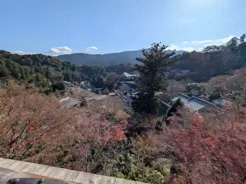 長谷寺(奈良県)