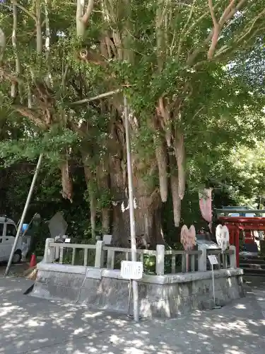 海南神社の{uncategorized: "未分類", other: "その他", undefined: "問題あり", building: "その他建物", grave: "お墓", sacred_gate: "鳥居", guardian: "狛犬", statue: "像", buddha: "仏像", history: "歴史", nature: "自然", garden: "庭園", animal: "動物", pagoda: "塔", temizu: "手水舎", mountain_gate: "山門・神門", sanctuary: "本殿・本堂", subordinate: "末社・摂社", art: "芸術", scenery: "景色", jizo: "地蔵", ema: "絵馬", goshuin: "御朱印", omikuji: "おみくじ", items: "授与品その他", amulet: "お守り", goshuincho: "御朱印帳", eats: "食事", festival: "お祭り", votive_dance: "神楽", shichigosan: "七五三参", wedding: "結婚式", experience: "体験その他", initially: "初詣", around: "周辺", anti_infection: "感染症対策"}