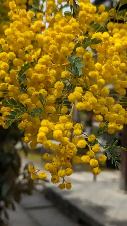 勝林寺(京都府)