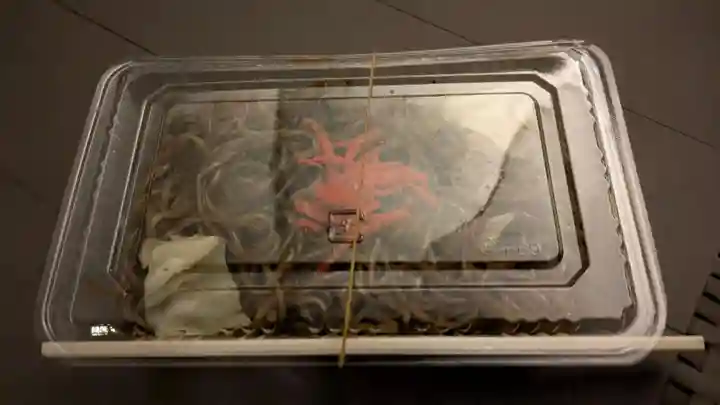 旭川神社の食事