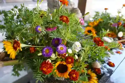 滑川神社 - 仕事と子どもの守り神の手水舎