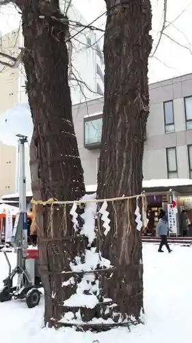 北海道神宮頓宮の自然