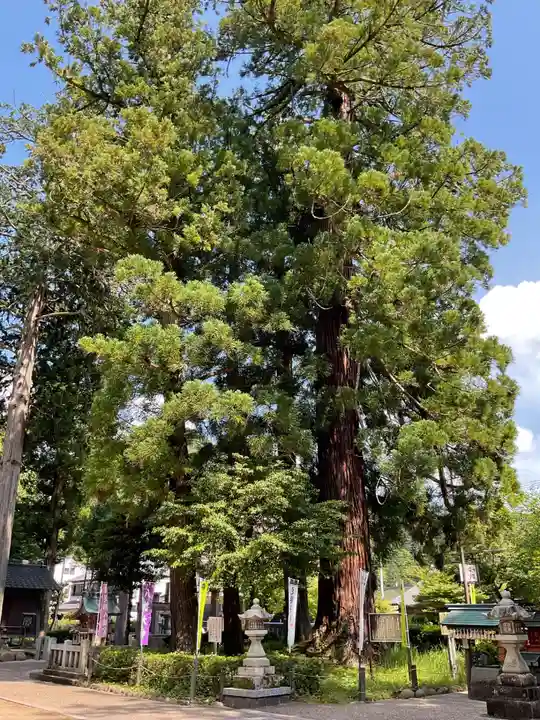 足助八幡宮(愛知県)