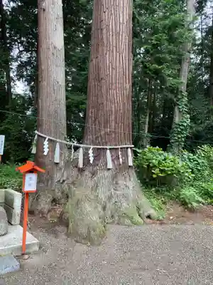 磯山神社(栃木県)