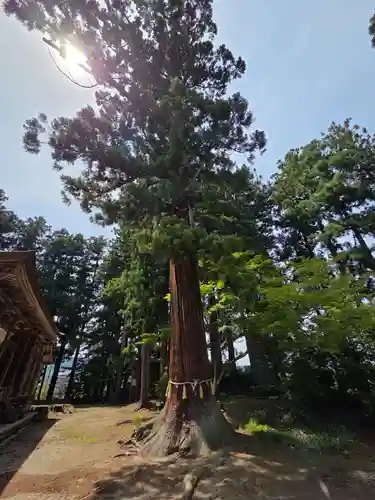 魚沼神社(新潟県)