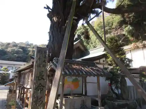 極楽寺(徳島県)