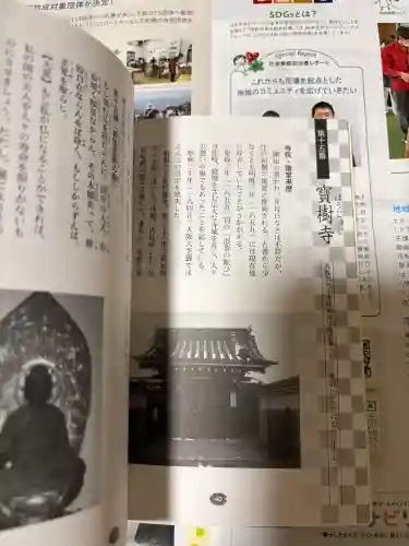 寳樹寺の{uncategorized: "未分類", other: "その他", undefined: "問題あり", building: "その他建物", grave: "お墓", sacred_gate: "鳥居", guardian: "狛犬", statue: "像", buddha: "仏像", history: "歴史", nature: "自然", garden: "庭園", animal: "動物", pagoda: "塔", temizu: "手水舎", mountain_gate: "山門・神門", sanctuary: "本殿・本堂", subordinate: "末社・摂社", art: "芸術", scenery: "景色", jizo: "地蔵", ema: "絵馬", goshuin: "御朱印", omikuji: "おみくじ", items: "授与品その他", amulet: "お守り", goshuincho: "御朱印帳", eats: "食事", festival: "お祭り", votive_dance: "神楽", shichigosan: "七五三参", wedding: "結婚式", experience: "体験その他", initially: "初詣", around: "周辺", anti_infection: "感染症対策"}