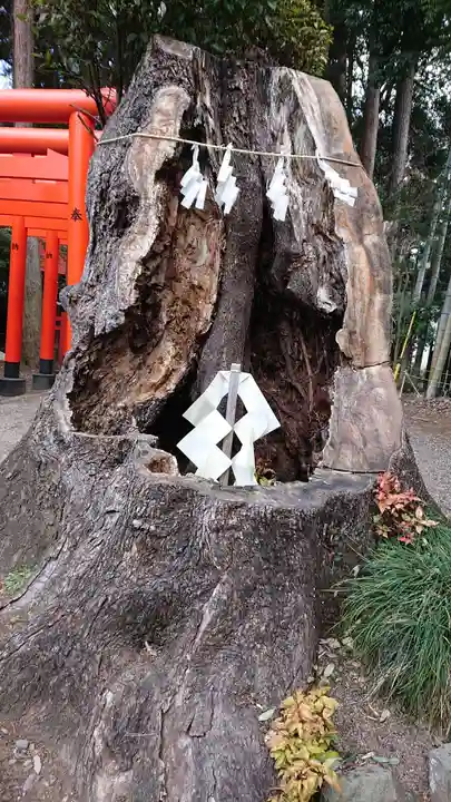 常磐神社の自然
