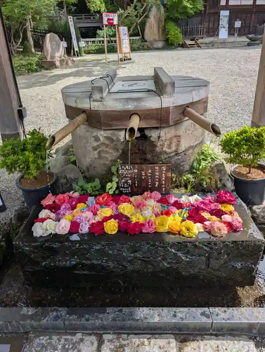 深大寺(東京都)