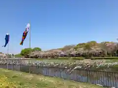 尾曳稲荷神社(群馬県)