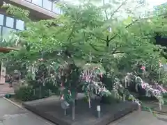 桜神宮(東京都)