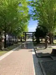 江南神社の鳥居