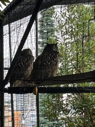 柏諏訪神社(千葉県)