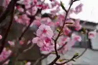 福王山 慈眼寺(東京都)