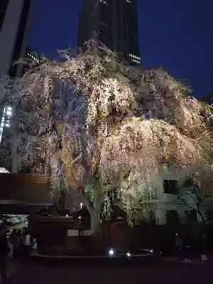 常圓寺(東京都)