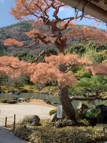 天龍寺の庭園