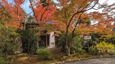 常照寺(京都府)