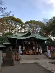 代々木八幡宮の本殿