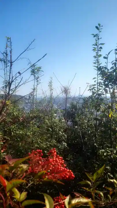 岐阜稲荷山本社の自然