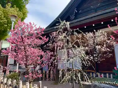 大阪天満宮のその他建物