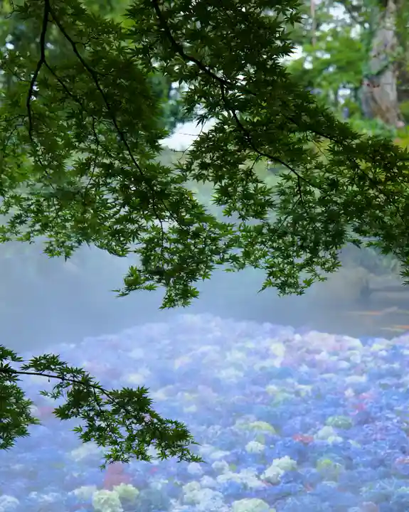 楽法寺(雨引観音)(茨城県)