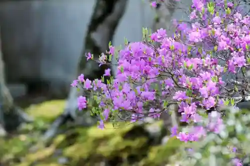 浄土寺(兵庫県)