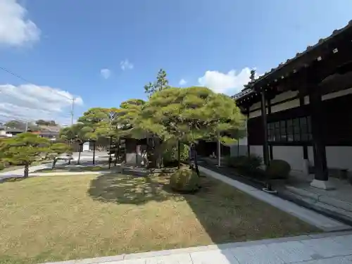 高林寺の{uncategorized: "未分類", other: "その他", undefined: "問題あり", building: "その他建物", grave: "お墓", sacred_gate: "鳥居", guardian: "狛犬", statue: "像", buddha: "仏像", history: "歴史", nature: "自然", garden: "庭園", animal: "動物", pagoda: "塔", temizu: "手水舎", mountain_gate: "山門・神門", sanctuary: "本殿・本堂", subordinate: "末社・摂社", art: "芸術", scenery: "景色", jizo: "地蔵", ema: "絵馬", goshuin: "御朱印", omikuji: "おみくじ", items: "授与品その他", amulet: "お守り", goshuincho: "御朱印帳", eats: "食事", festival: "お祭り", votive_dance: "神楽", shichigosan: "七五三参", wedding: "結婚式", experience: "体験その他", initially: "初詣", around: "周辺", anti_infection: "感染症対策"}