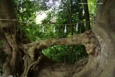 春日神社(神奈川県)