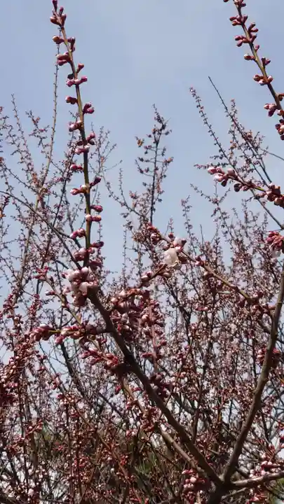相馬神社(北海道)