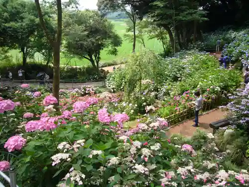 二本松寺の自然