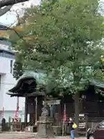 阿邪訶根神社(福島県)