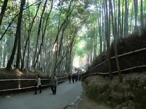 野宮神社(京都府)