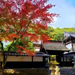 尊永寺(静岡県)