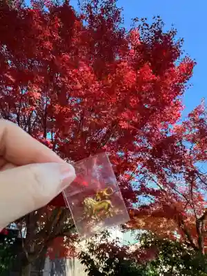 神戸水天宮(兵庫県)