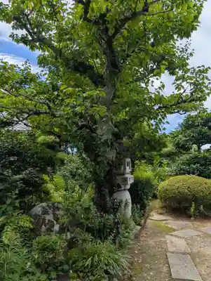 大坊福盛寺(広島県)