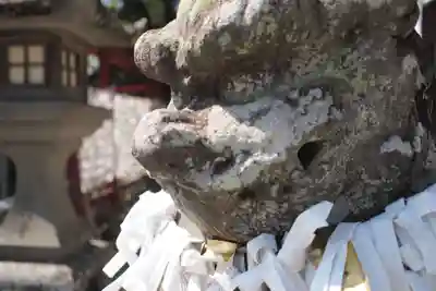 唐津神社の狛犬