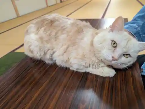 鼬幣稲荷神社(岩手県)